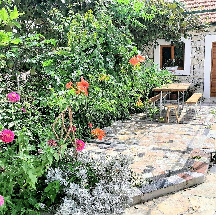 Galovac  Apartments"Nika" With Private Pool מראה חיצוני תמונה